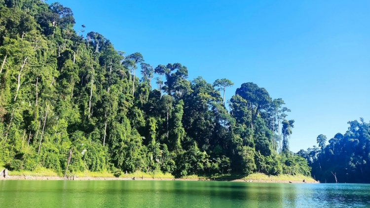 NAM GIANG T’BHLẦNG K’ĐHƠỢNG, ZƯ LÊY CRÂNG