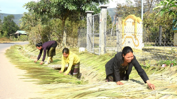 QUẢNG TRỊ: ĐHANUÔR DA DING CA COONG MOỌT HÂN NOO TAC A TƠỢNG