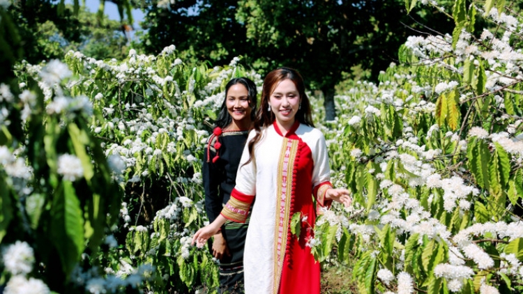 BÂC ĐHỊ LÊY CHÔ CHI ƠH PR’HAY BHIỆC BHAN CÀ PHÊ BUÔN MA THUỘT G’LUH 9