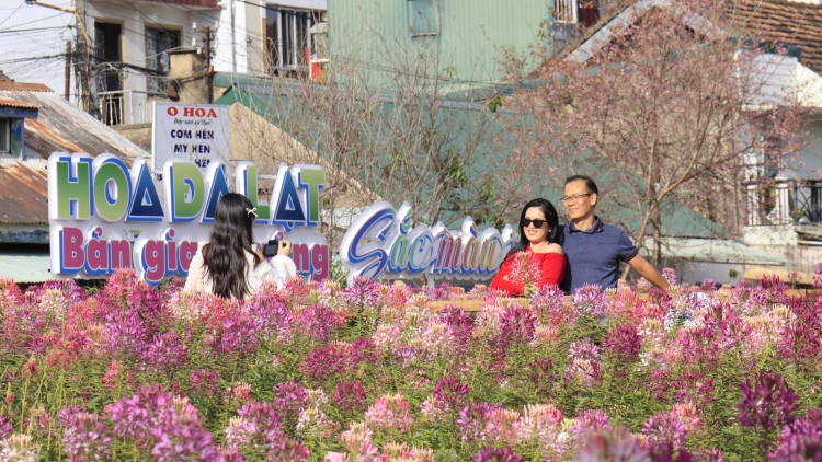 Tây Nguyên gơhòi gơ jà năc lòt nhơl tàm dơ̆ Sa tềp 