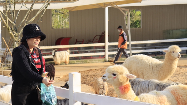 Gơn kơnờm bơtàu tơnguh pa sơlơ bơtàu tơnguh lòt nhơl broă lơh sa suơn sre tàm Dà Làc