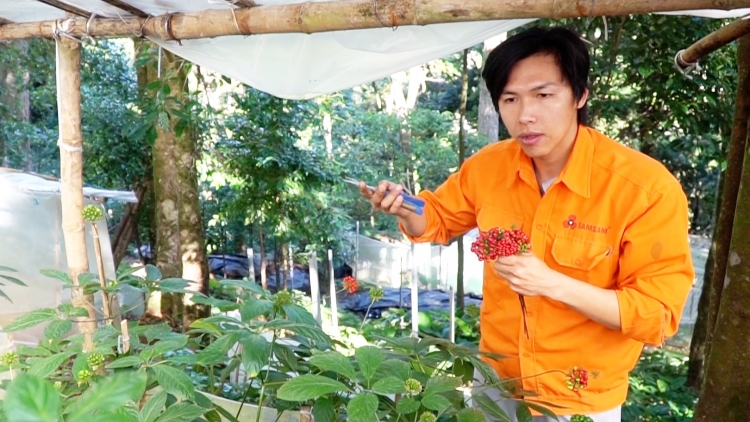 THỦ TƯỚNG CHÍNH PHỦ ƠƠI ĐOỌNG ĐỀ ÁN PA DƯR LÂNG BHRỢ T’VAIH TRUNG TÂM CÔNG NGHIỆP Z’NƯƠU ĐHỊ QUẢNG NAM, SÂM NGỌC LINH NĂC TƠƠM BHA LÂNG