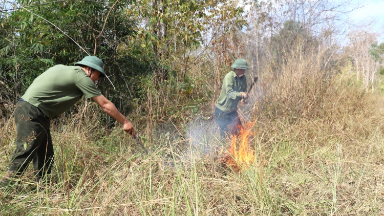 Dak Nông prăp lui bruă mă pơhlôm pơgang apui ƀong glai