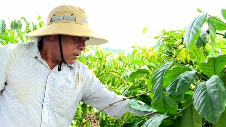 Pơtối rak hnoăng mơngế đảng viên tung mơnhông cheăng kâ a Lâm Đồng