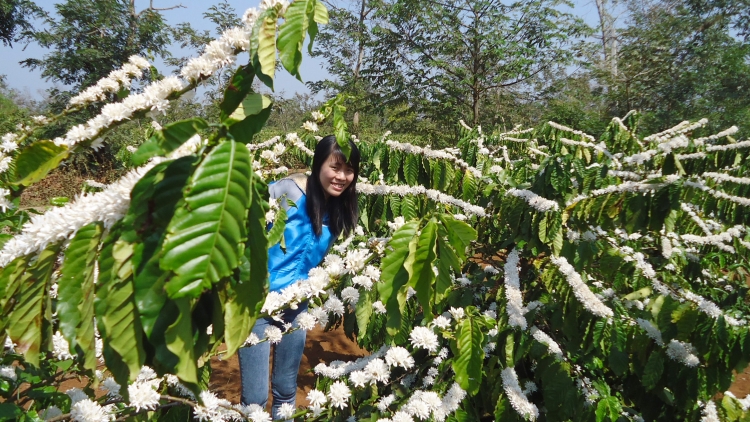 Bơta niam lòt nhơl Dăk Lăk kàl “lơwe jồp bơkào”