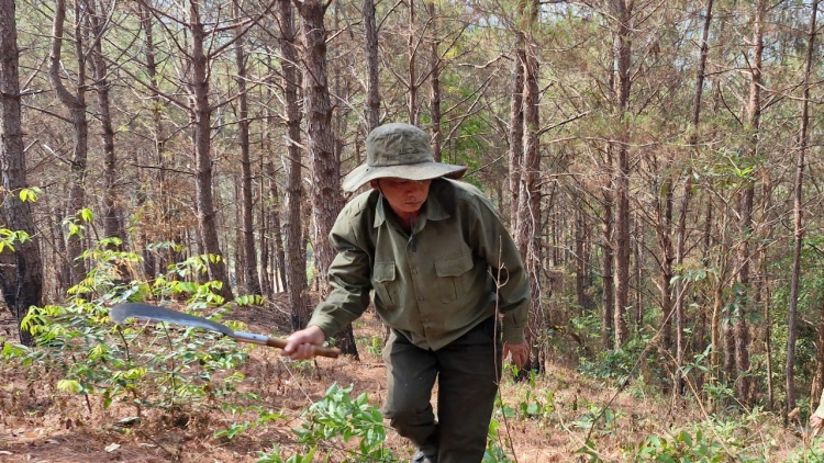 Gia Lai rơcang lài kơryan ồs sa brê tàm tơngai kàl prang uă 