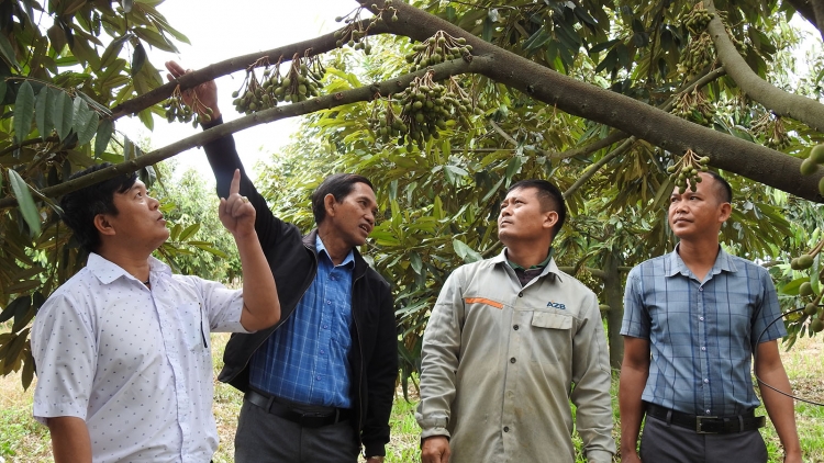 Bi leh mta kñăm mđĭ kyar, leh klei bi kƀĭn prŏng Đảng să, wal krah ti Kon Tum