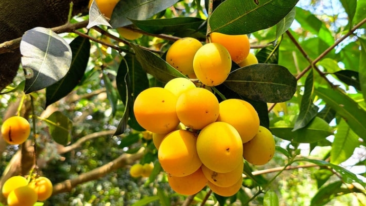 ពត៌មាន ម៉ោង ១៥