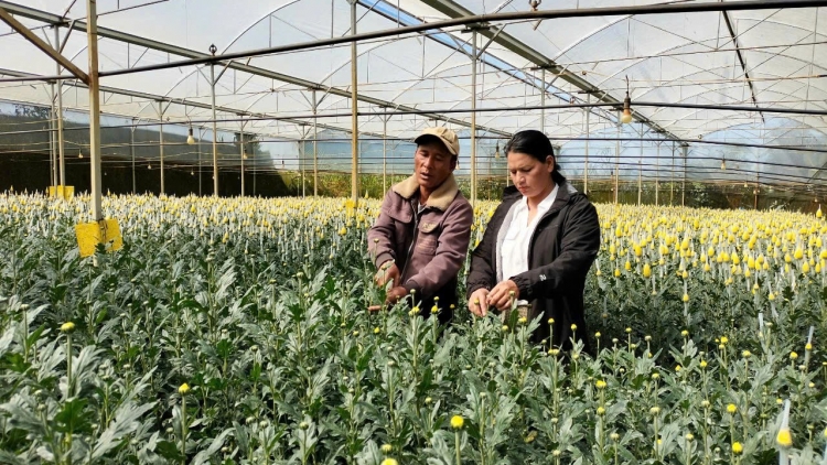 Klei mlih jăk ti krĭng mnuih djuê ƀiă čar Lâm Đồng	