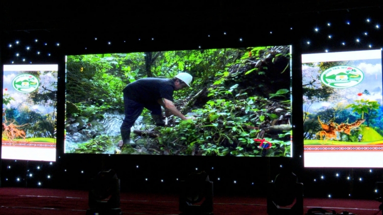 NAM TRÀ MY CHIẾU PHIM TÀI LIỆU “DƯP GÂM ÂNG CRÂNG NGỌC LINH”