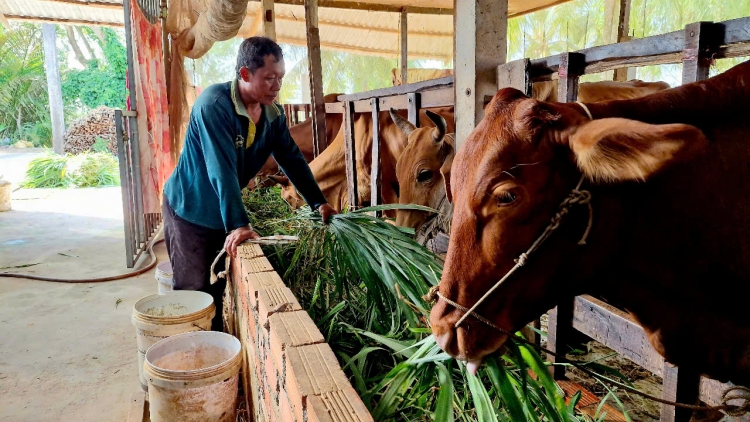 ពត៌មាន ម៉ោង ១៥