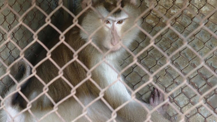 PA ĐƠP BHOT ARÂL OOY TRUNG TÂM TRÔÔNG DÂC, ZƯ ĐƠC LÂNG PA DƯR A ĐHĂH DZĂM