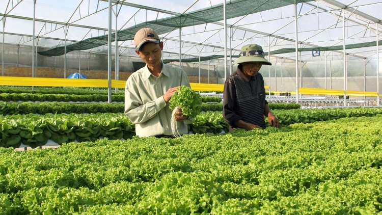 Hơtŏk ‘lơ̆ng tơdrong tĕch tơ̆ teh đak đe ‘nhot, plei ‘long đơ̆ng Việt Nam