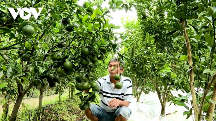 ពត៌មាន ម៉ោង ១៥