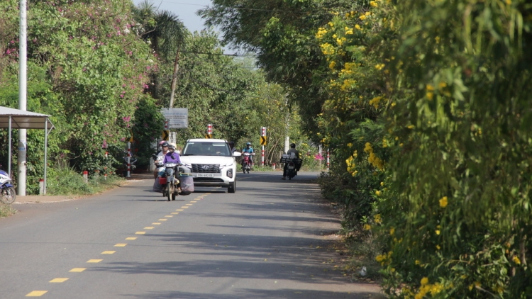 Cau geh bơngă pin dờn - mpồl cau lơh tơn rềp đah gơnoar atbồ mờ làng bol jơi bơtiàn 