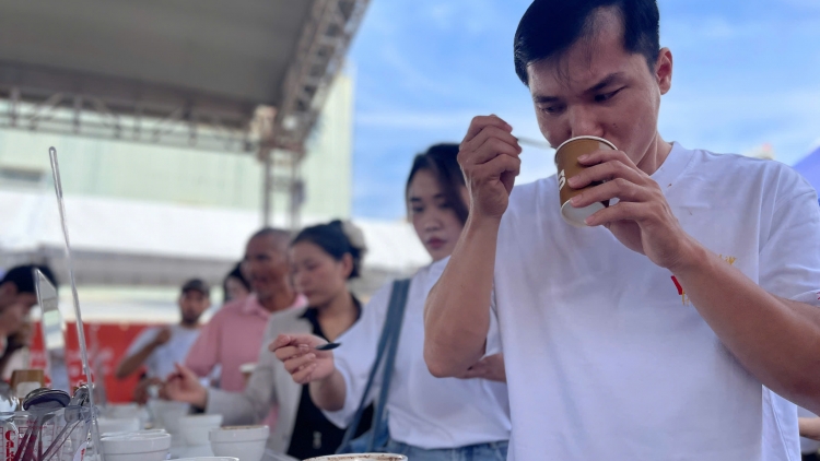 Gia Lai Coffee Festival 2025, kơ̆p gơn tơngguh bơngă Robusta