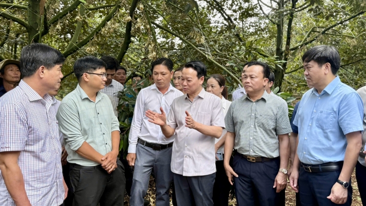 Kloh rjăp, "dơn nău kan" sầu riêng jêng ntil ndơ tơm bâh ngih dak.