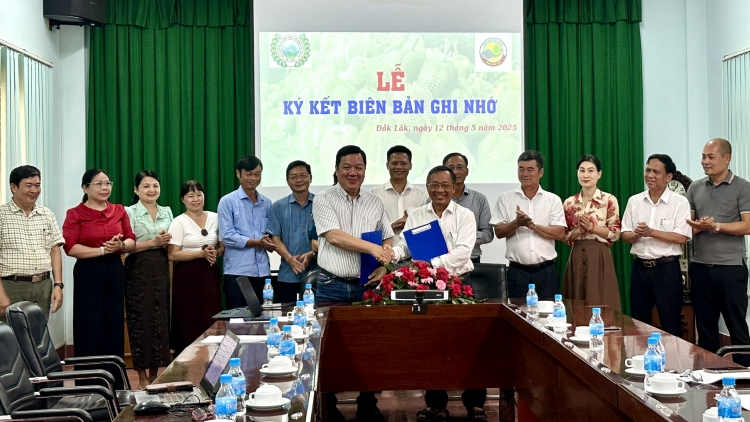  Dak Lak kĭ pơkôl kơsem min pơđĭ hơnơ̆ng pơkă hiam boh sầu riêng sĭ mơdrô