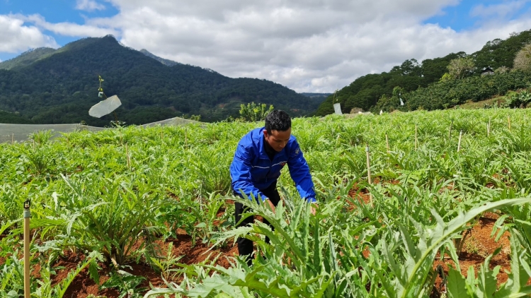 Lâm Đồng tơmâng khât tăng tơ’mot đảng viên ing mơngế pêi cheăng kơhnâ ai tuăn lĕm tung kơpong kuăn ngo