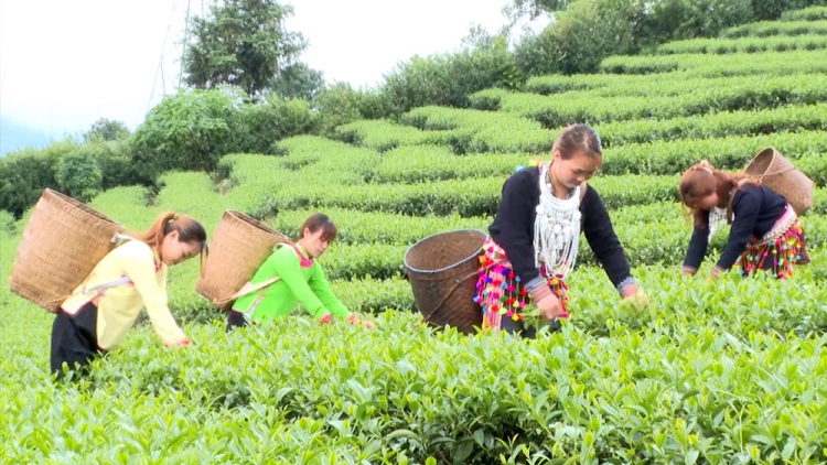 ĐHA ĐHÂM C’MOR MÂNG LOOM TƯỚC OOY CR’CHĂL T’MÊÊ