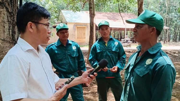 Klei hdĭp phung mă bruă ksu ti Gia Lai ƀrư̆ hruê ƀrư̆ dưi mđĭ 