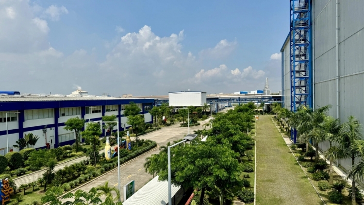 ចំណុចលេចធ្លោក្នុងការឃោសនាការពារបរិស្ថាន