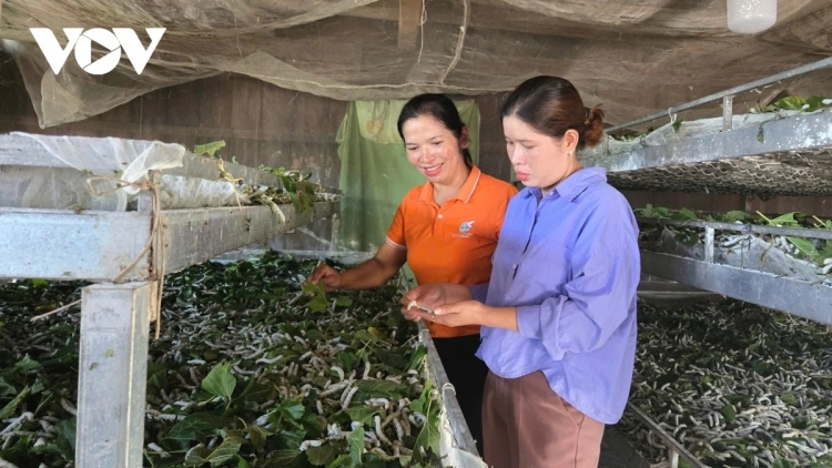 BRUK PALA HANJO RAONG KAIN DAONG MIKVA BHUM URANG BANGSA TAKIK PATRUH KATHAOT KARO KAJAP