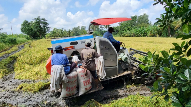 ហូវយ៉ាងពង្រីកតួនាទីរបស់ក្រុមជួយជំរុញកសិកម្មសហគមន៍។