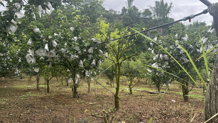 Chường trình phát thanh thứ 7 mự 28 căm bườn 6 pì 2025