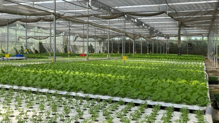 MENG 1/7, DANAK DAK NGAK NONG HU MESRAIY PHUN JIEN 70% YAOM KAOM DANAK DAK BO OH KHIN DRAP AR KHIK TAKAI 