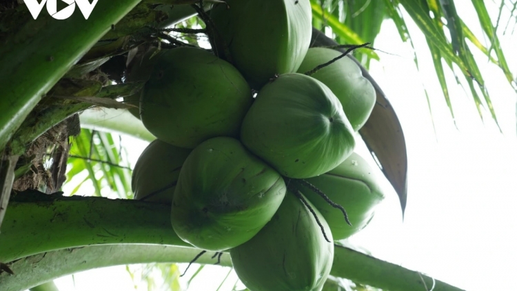 ពត៌មាន ម៉ោង​ ៦