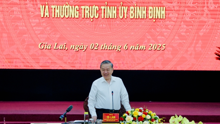 Pôa Tô Lâm, Kăn xiâm pơkuâ hnê ngăn cheăng Đảng pêi cheăng ƀă 2 kong pơlê Gia Lai ƀă Bình Định