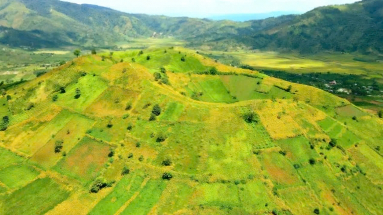 Ƀô̆ mơta phrâo, tơhnal gal phrâo mơ̆ng tơring čar Gia Lai 