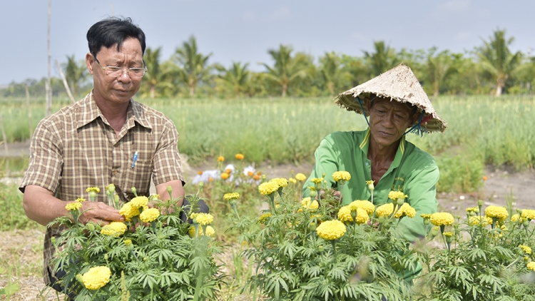 ពត៌មាន​ម៉ោង១៥