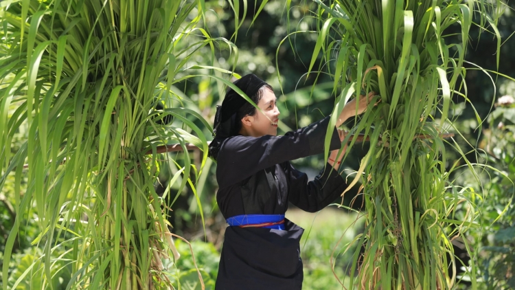 CHƯƠNG TRÌNH PHÁT THANH TIẾNG TÀY-NÙNG (Thứ Năm- Vằn 24-7-2025)