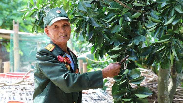Tsaz yênhx nta suôz luk Hmôngz hnuz 26-7-2025