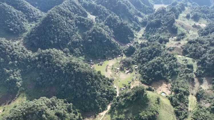 Hàng A Của tzangz chiênz ziềm lắm quýa mô hình tzíp khez tháo diẻo