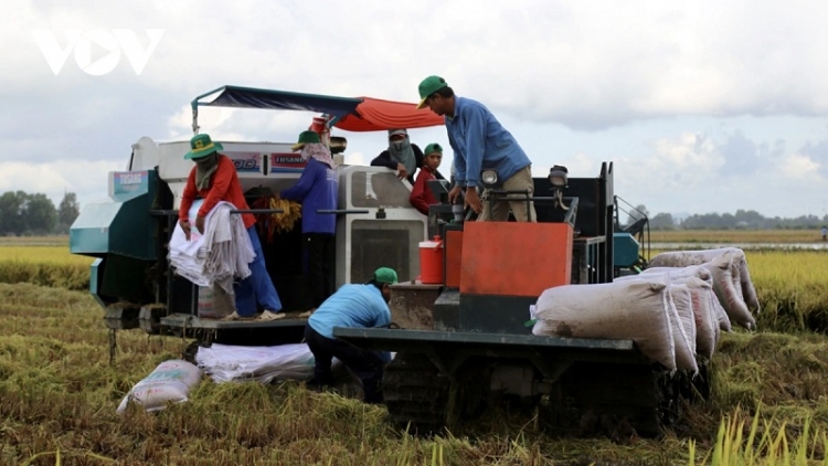 TANI TANAT DARAK PASAR PADAI BRAH BHUM TANERAN KRAONG CUU LONG