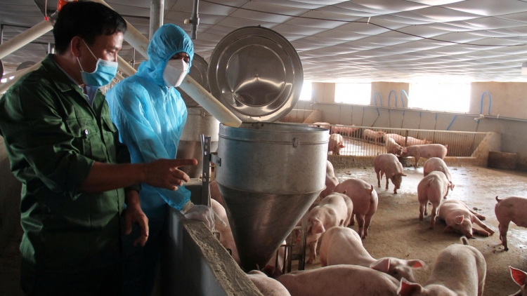 Dak Lak n’hao nau kan njrăng, rdâng srê ji tâm mpa rong