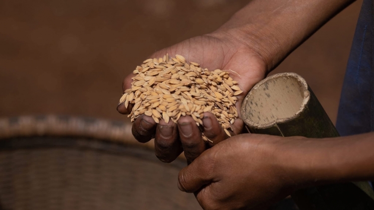 Klei ngă yang yan buh mdiê mơ̆ng mnuih Mnông