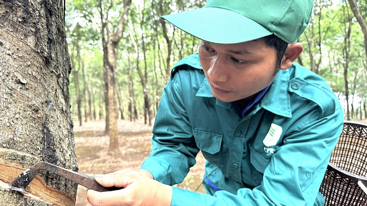 PALAK TANGIN AMEH KUAH KATAK 