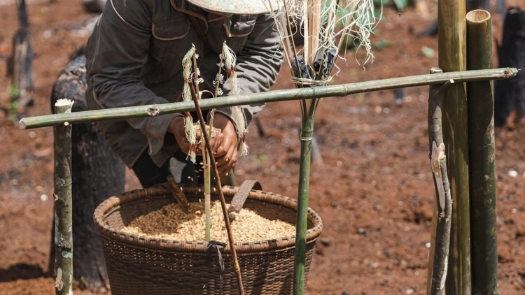 Ngă yang tơjŭ pơdai mơ̆ng djuai ania M’nông