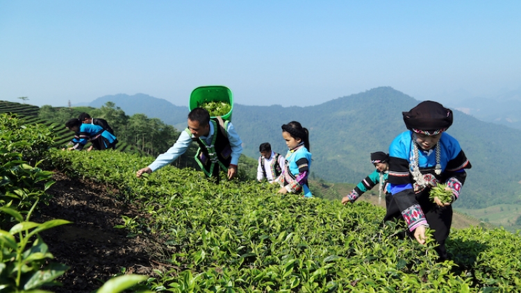 PAGLONG BRUK NGAK MBANG KA URANG KUMEI BANGSA TAKIK TAPA BRUK PANDAR ILAMO KONG NGHE