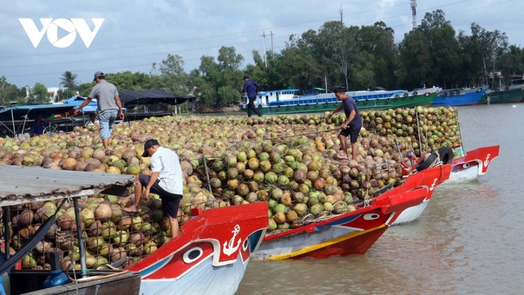 ពត៌មាន​ម៉ោង៦