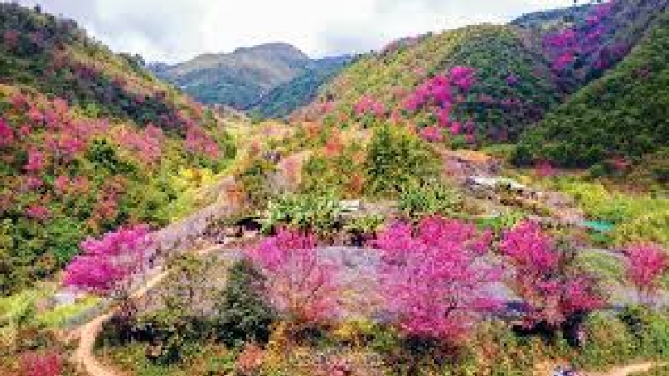 Danak dak sap Cam 29_07_2025