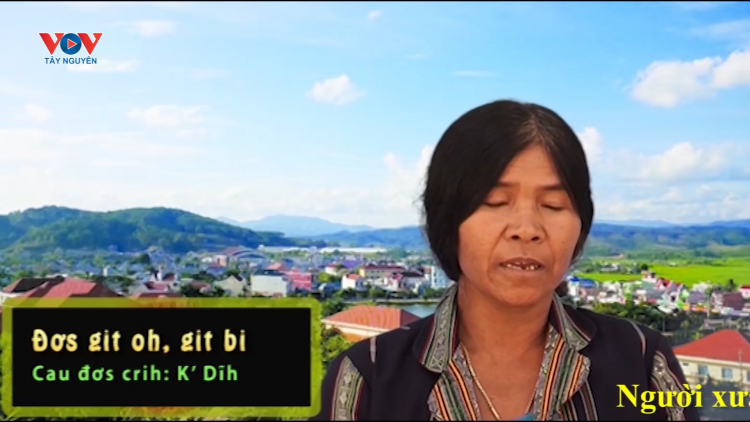 Đơs git oh, git bi