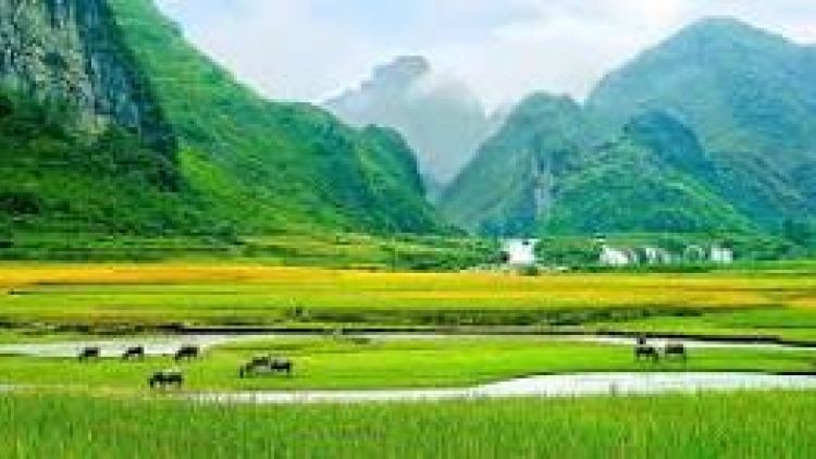 Danak dak sap Cam 28_07_2025