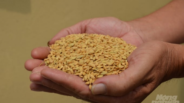 Ngon tô thứ 2 mự 14 căm bườn 7 pì 2025- Tiện tô cắp lung Quang Văn Chiều, dú bản Lau, phường Tô Hiệu, tỉnh Sơn La ma tang luông pảy chự khảu lằng chơ kiếu nhăm