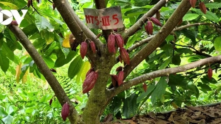 ពត៌មាន ម៉ោង ១៥