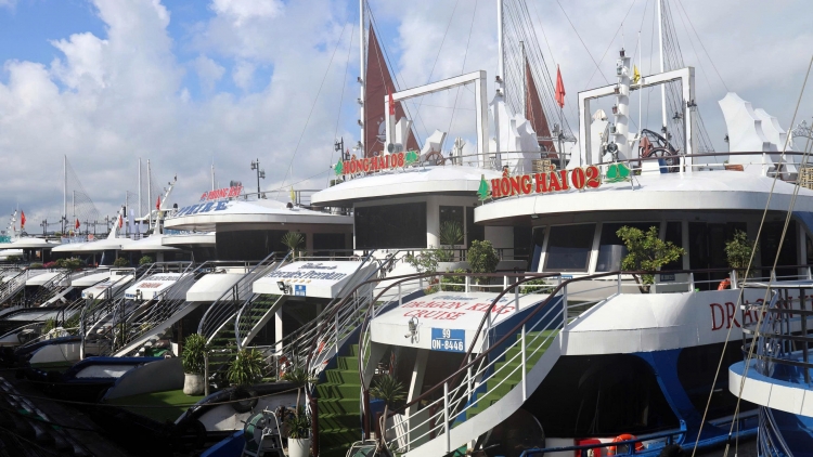 QUẢNG NINH: TIỂM NGÒI LỪA SLỐNG KHÉC PÂY CHỒM PÉ HẠ LONG